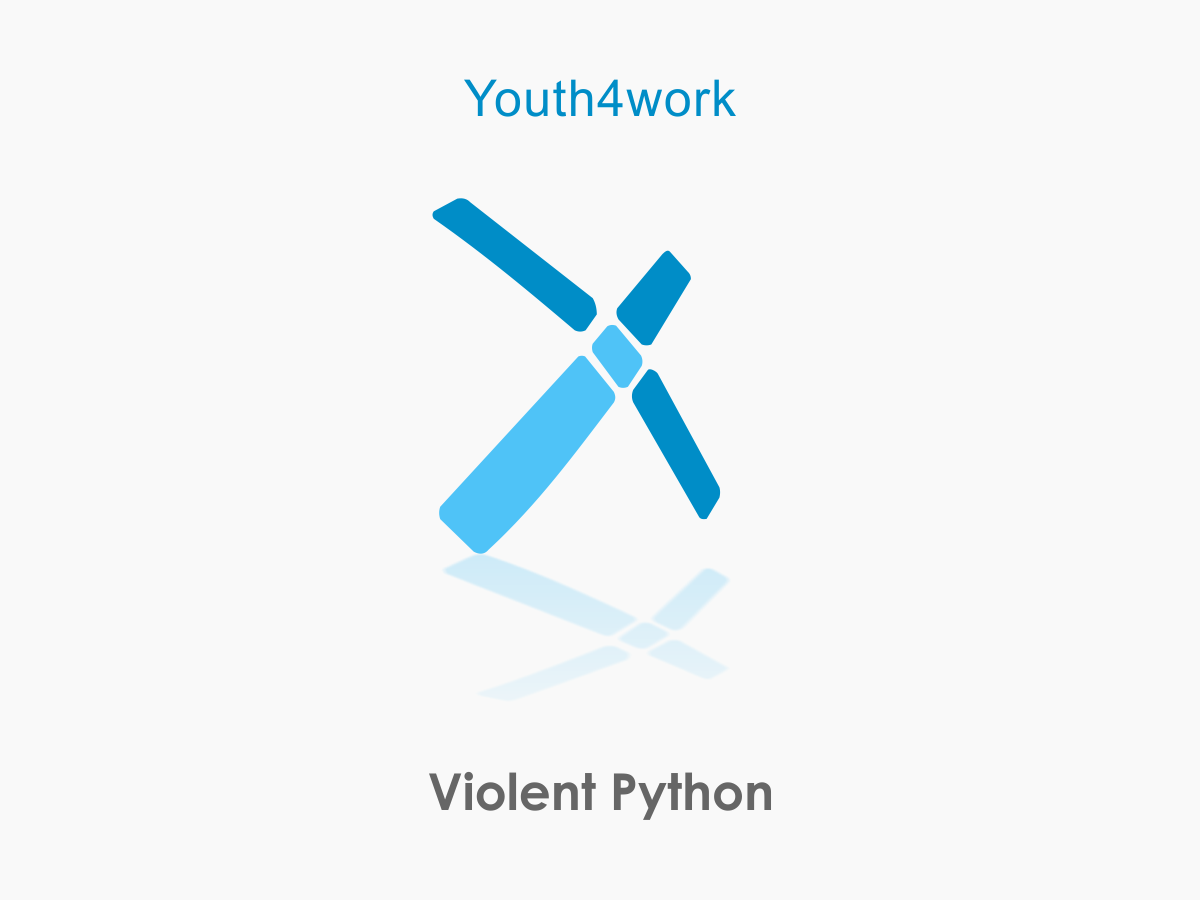 Violent Python