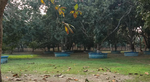 Santipur College Photos
