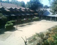 Government Degree College Dharamshala Photos