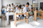 TSS College Morena Photos