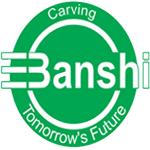 BCMS-Banshi College of Management Studies