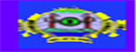 MP-Mizoram Polytechnic