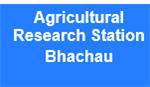 ARSB-Agricultural Research Station Bhachau