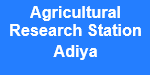 ARSA-Agricultural Research Station Adiya