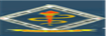 AMI-Asian Medical Institute