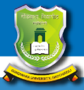 GU-Gondwana University