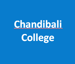 CC-Chandibali College