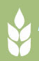 RPDC-Ram Prasad Degree College