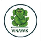 VV-Vinayak Vidyapeeth