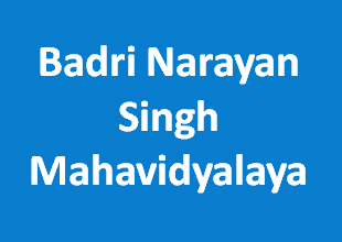 BNSM-Badri Narayan Singh Mahavidyalaya