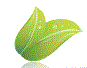 YC-Yeshwant College