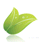 YC-Yashwant College