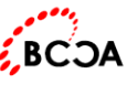 BCCA-Bharatesh College of Computer Applications