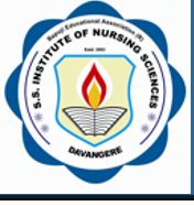 SSINS-SS Institute of Nursing Sciences