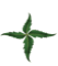 SDMCAH-Sri Dharmasthala Manjunatheshwara College of Ayurveda and Hospital