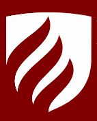 DYPTCFE-D Y Patil Technical Campus Faculty Of Engineering