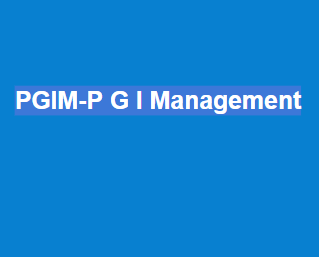 PGIM-P G I Management