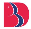 BBDEC-Babu Banarasi Das Engineering College