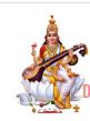 SDSNM-Shri Durga Shiksha Niketan Mahavidyalaya Arjunpur