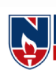 NEC-Narayana Engineering College Gudur