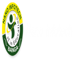 Nano Infotech