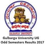 GNFGSDC-Guru Nanak First Grade Science Degree College