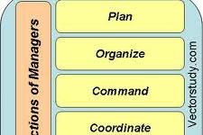 management processes notes for Apeejay School of Management New Delhi