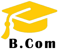B Com from Lovely Professional University