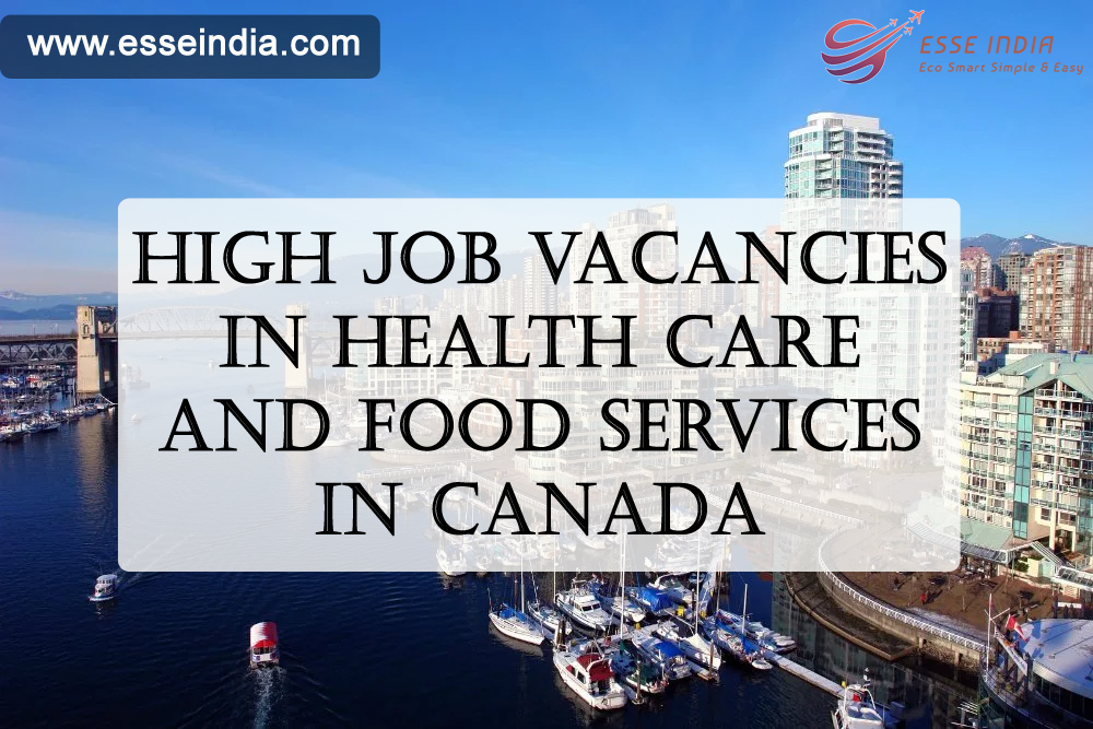 High job vacancies in health care and food services in Canada || Esse India