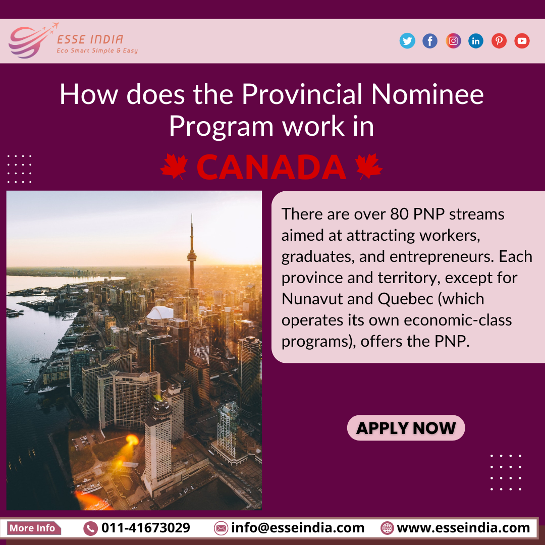 How does the Provincial Nominee Program work