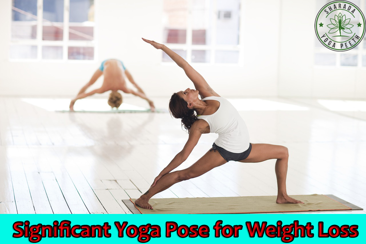 Significant Yoga Pose for Weight Loss Sharada Yoga Peeth News Significant Yoga Pose for Weight Loss Sharada Yoga Peeth News