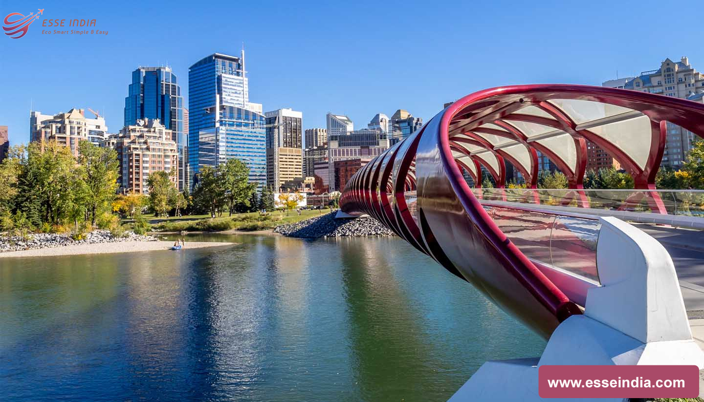 Esse India || Alberta publishes details of two September PNP draws