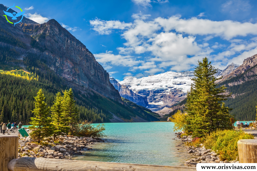 How to send staff to Canada through Intra-Company Transfers || Oris Visas