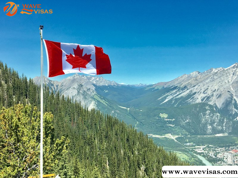 Wave Visas || How to calculate Canadian citizenship eligibility