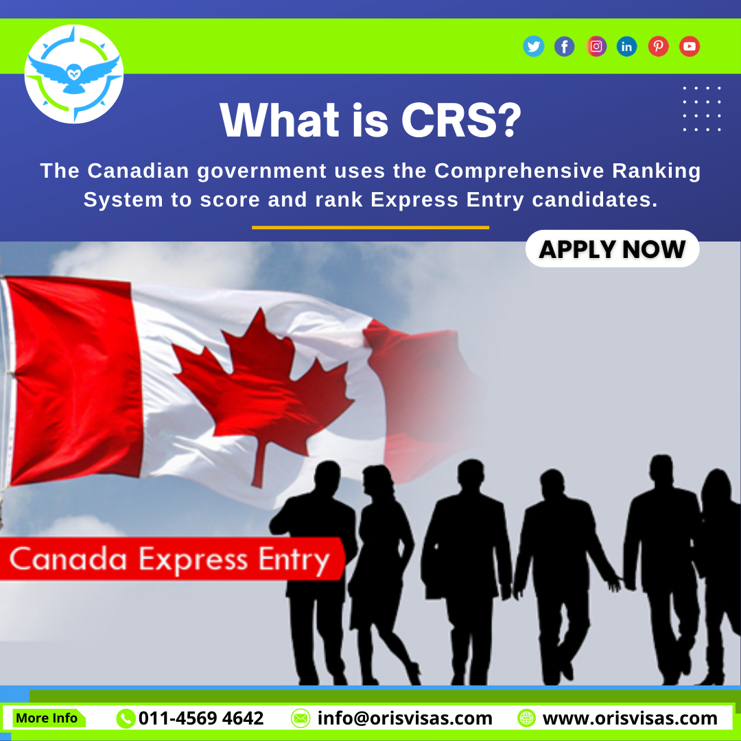 What is the Comprehensive Ranking System?