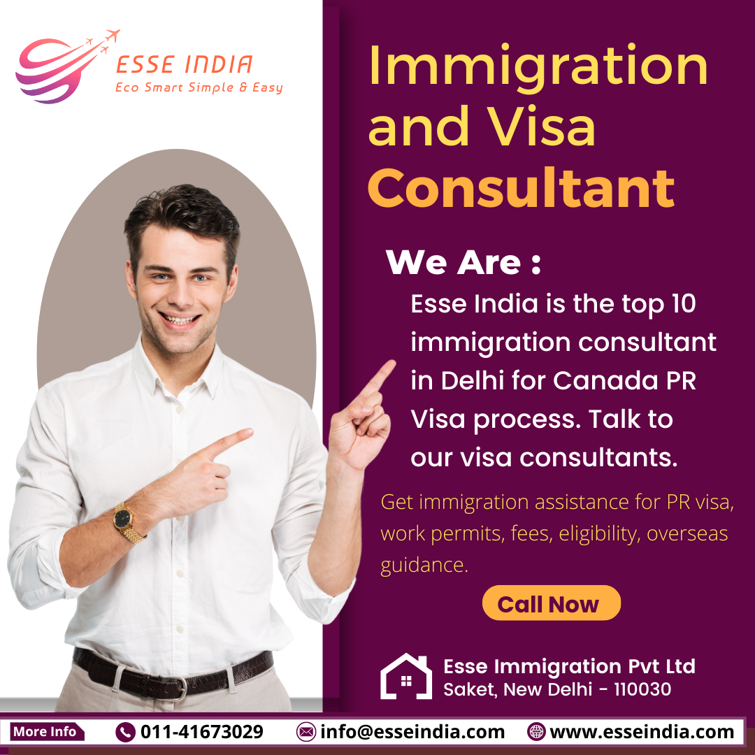 Immigration and visa consultant