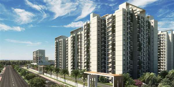 Tata New Haven