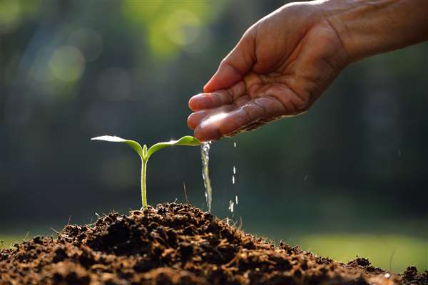 Success is Actually a Living Being – But How?
