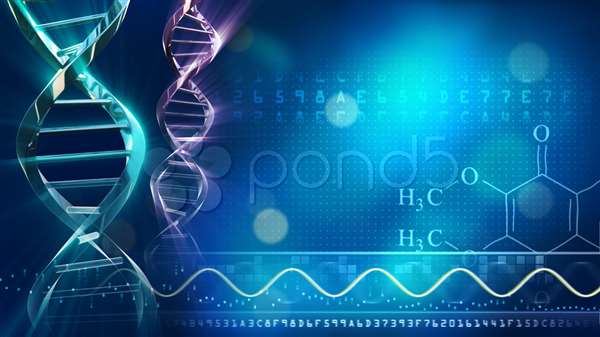 Bioinformatics Summer School Certificate Program