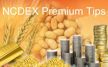 NCDEX Wants to Start in Nickel and Aluminum Option Trading, Market Regulator Seeks Approval From SEBI
