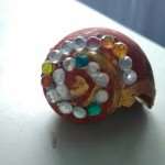 Decorative shell