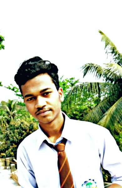 Animesh sarkar