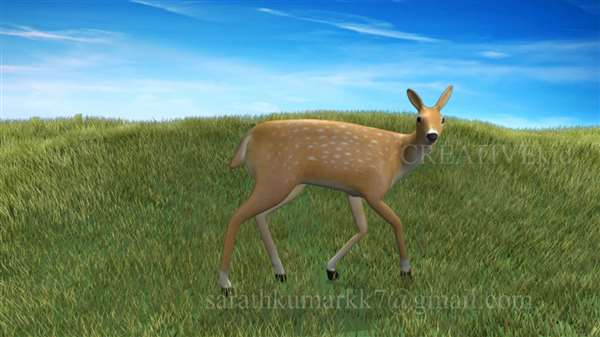 animation