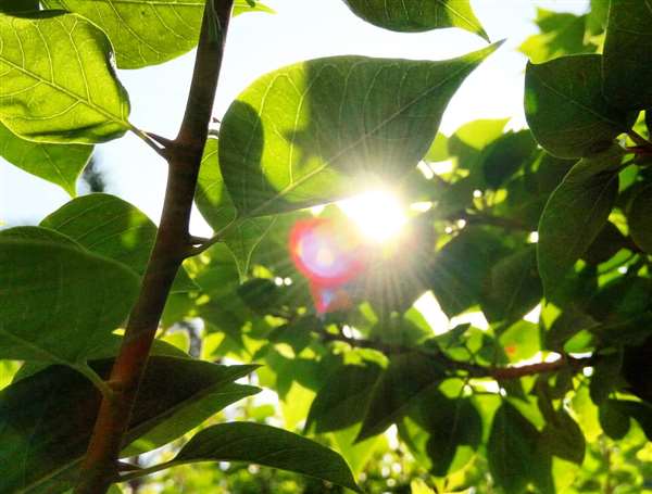 My Photography