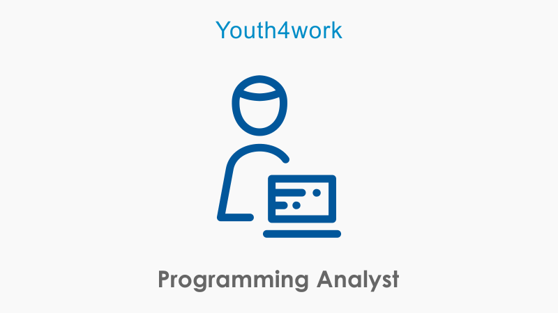 Programming Analyst