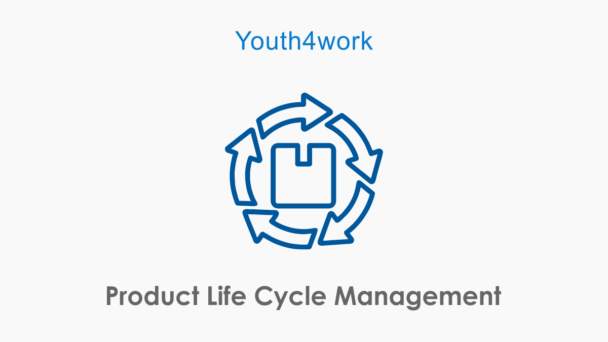 Product Life Cycle Management