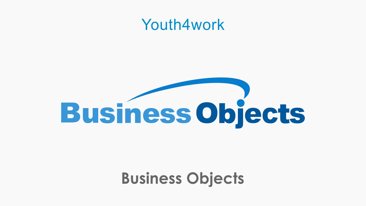 Business Objects