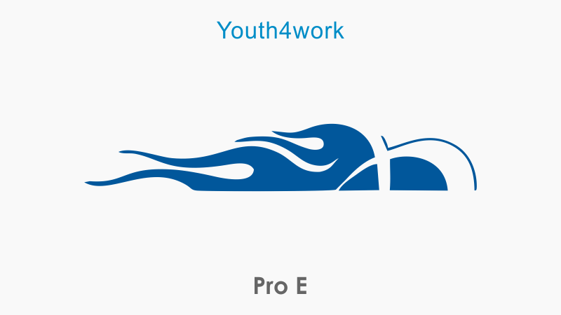 Pro E