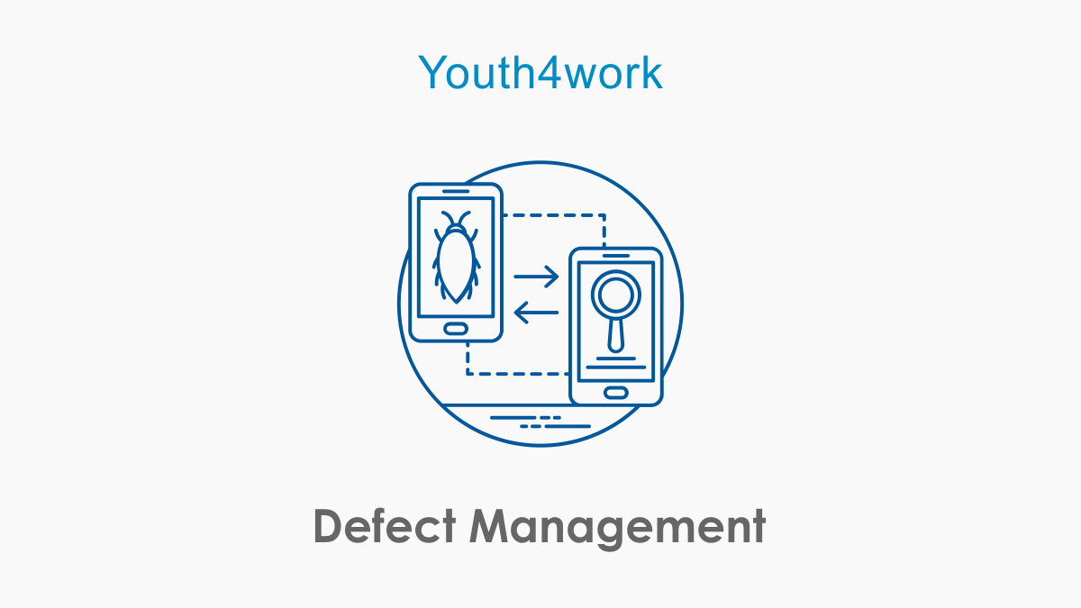 Defect Management