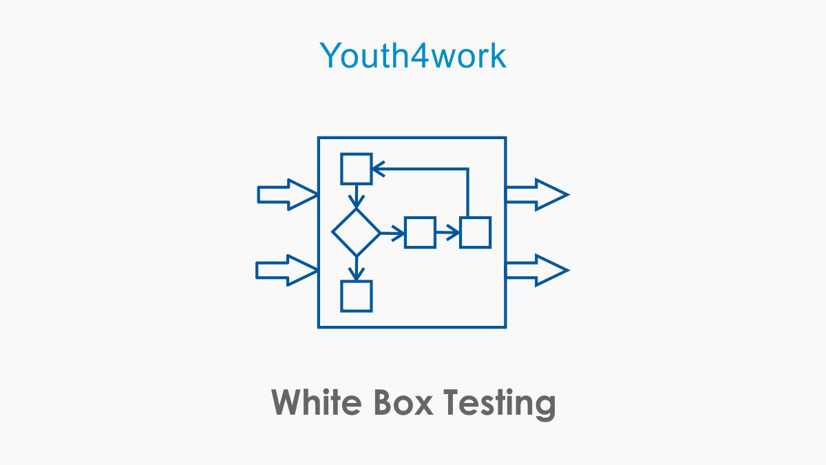 White Box Testing
